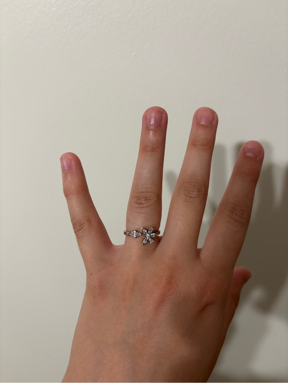 Size 6 Pandora ring forgot name